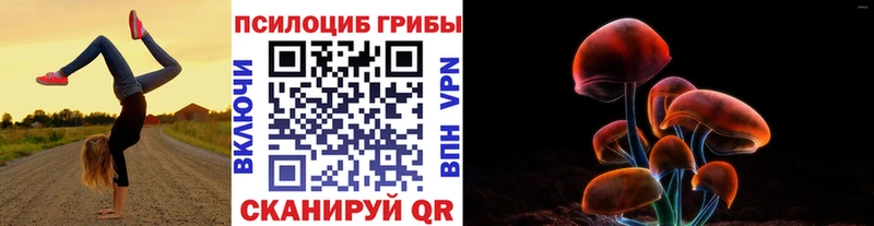 Галлюциногенные грибы прущие грибы  Электроугли 